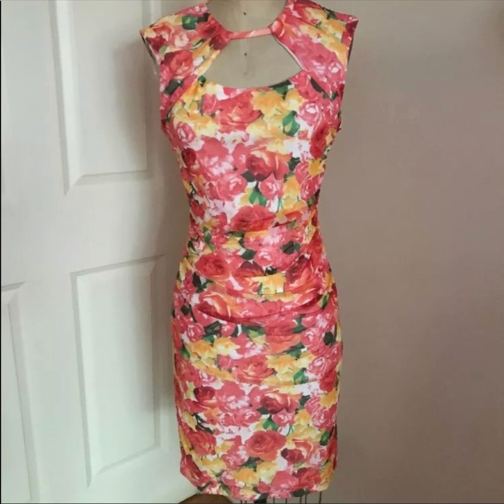 Cache floral dress NEW NWT size 8